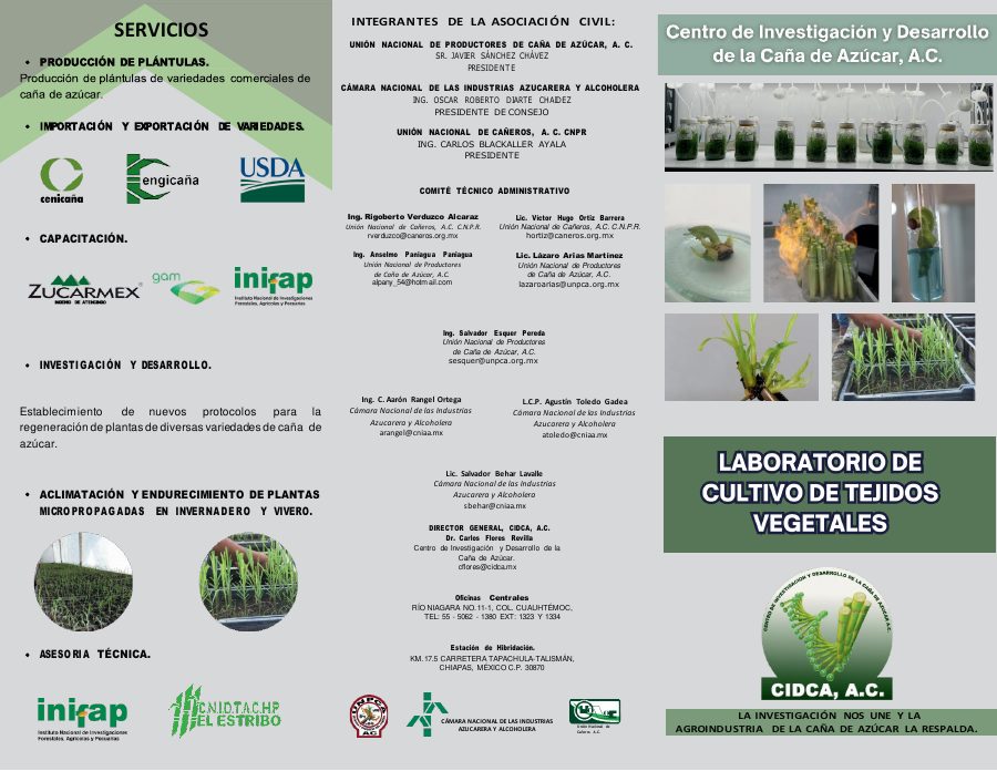 Portada de Tríptico del Laboratorio de Cultivo de Tejidos Vegetales